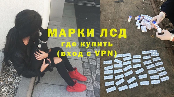 дживик Алзамай