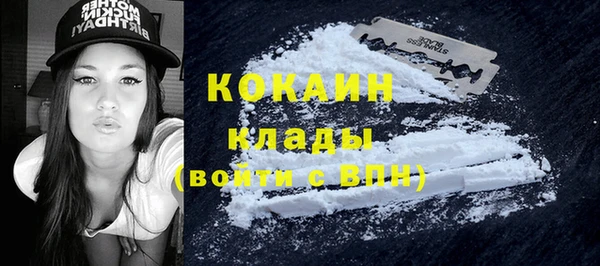 не бодяженный Алексин