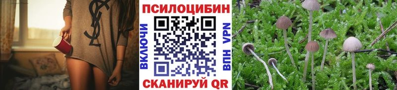 Купить где  Орёл  Псилоцибиновые грибы MAGIC MUSHROOMS 